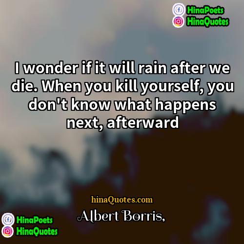 Albert Borris Quotes | I wonder if it will rain after