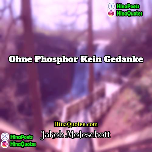 Jakob Moleschott Quotes | Ohne Phosphor kein Gedanke.
  