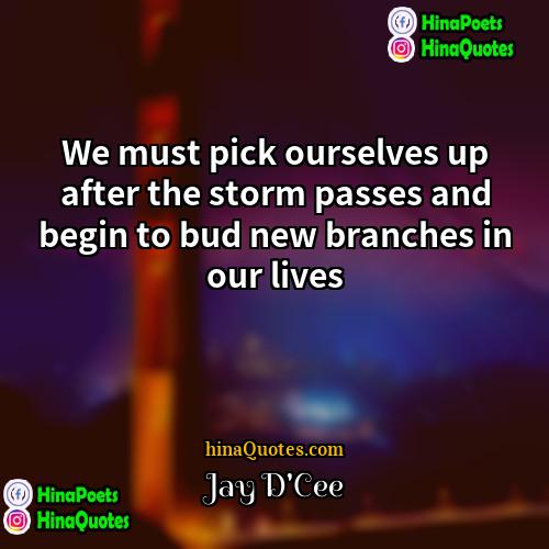Jay DCee Quotes | We must pick ourselves up after the