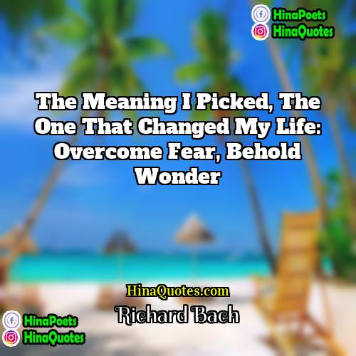 Richard Bach Quotes | The meaning I picked, the one that