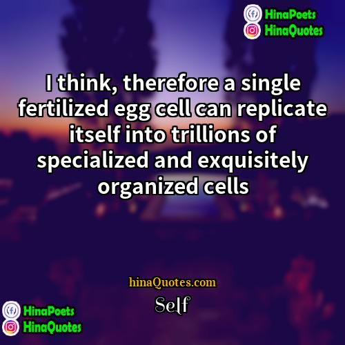 Self Quotes | I think, therefore a single fertilized egg