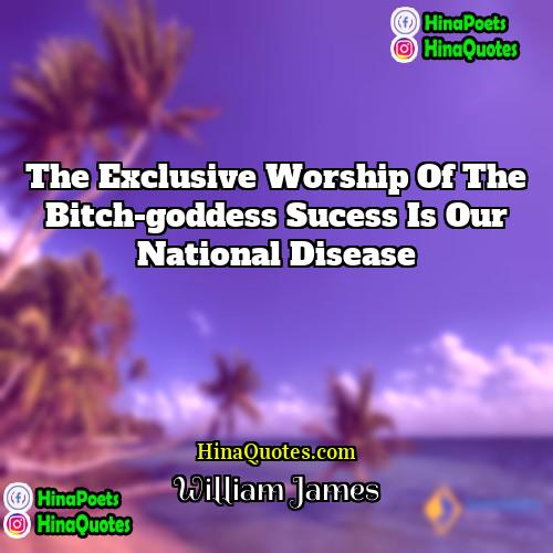 William James Quotes | the exclusive worship of the bitch-goddess sucess