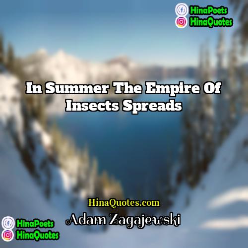 Adam Zagajewski Quotes | In summer the empire of insects spreads.
