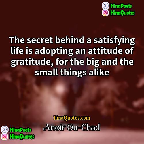 Anoir Ou-Chad Quotes | The secret behind a satisfying life is