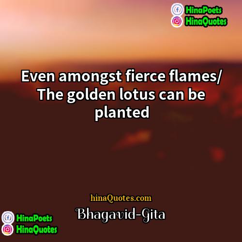 Bhagavid-Gita Quotes | Even amongst fierce flames/ The golden lotus