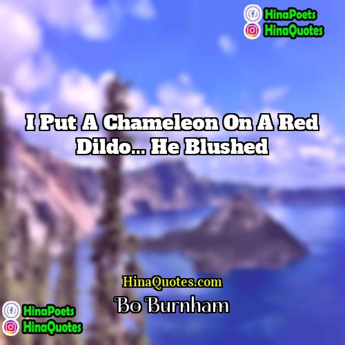 Bo Burnham Quotes | I put a chameleon on a red