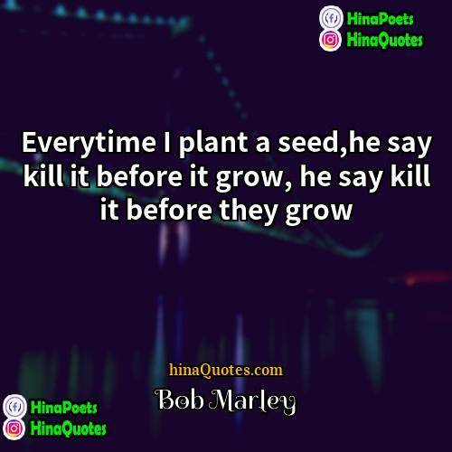 Bob Marley Quotes | Everytime I plant a seed,he say kill