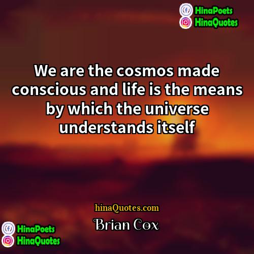 Brian Cox Quotes | We are the cosmos made conscious and