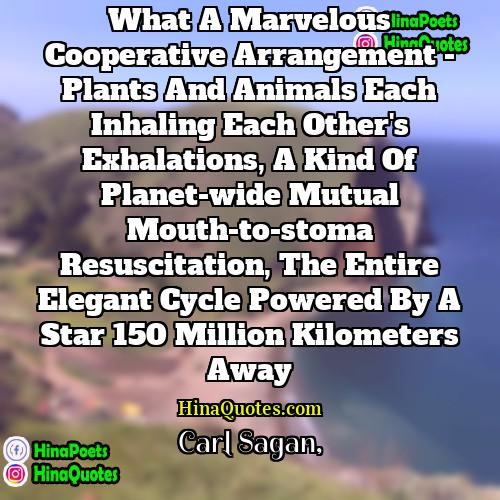 Carl Sagan Quotes | What a marvelous cooperative arrangement - plants