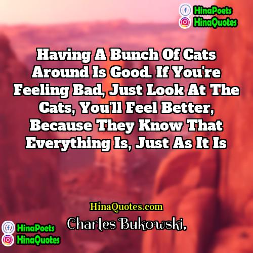 Charles Bukowski Quotes | Having a bunch of cats around is