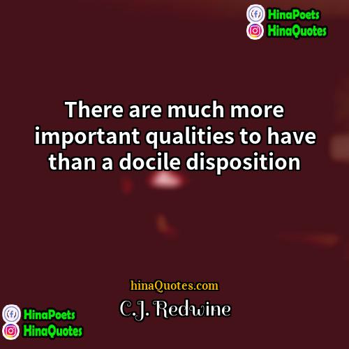 CJ Redwine Quotes | There are much more important qualities to