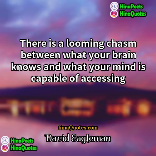 David Eagleman Quotes | There is a looming chasm between what