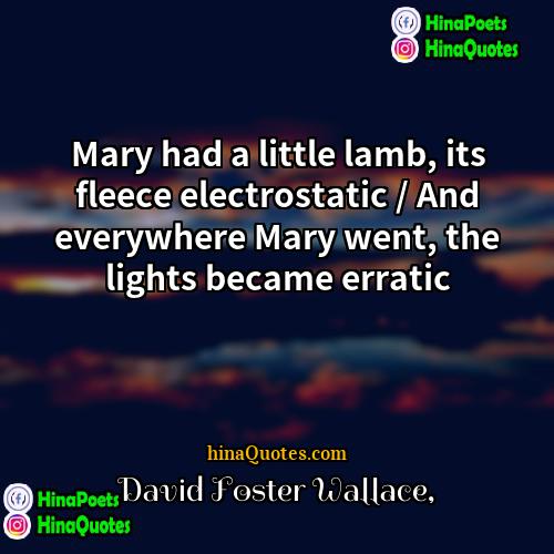 David Foster Wallace Quotes | Mary had a little lamb, its fleece
