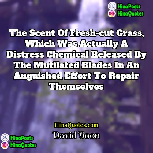 David Yoon Quotes | the scent of fresh-cut grass, which was