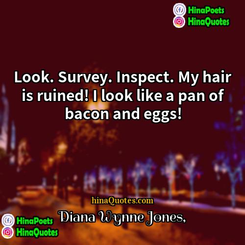 Diana Wynne Jones Quotes | Look. Survey. Inspect. My hair is ruined!