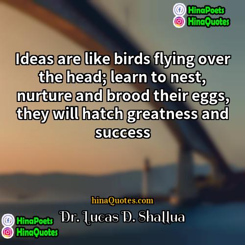 Dr Lucas D Shallua Quotes | Ideas are like birds flying over the