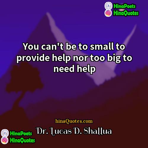 Dr Lucas D Shallua Quotes | You can't be to small to provide