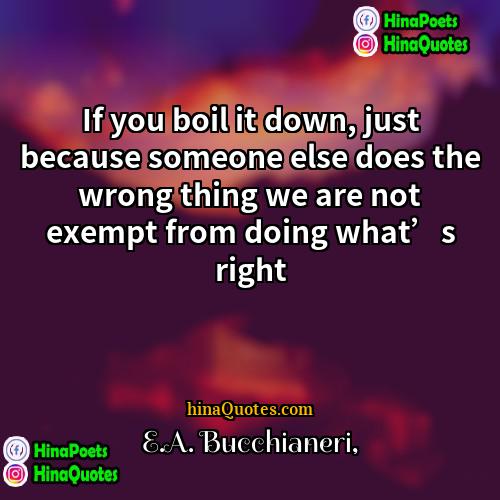 EA Bucchianeri Quotes | If you boil it down, just because