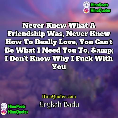 Erykah Badu Quotes | Never knew what a friendship was, Never
