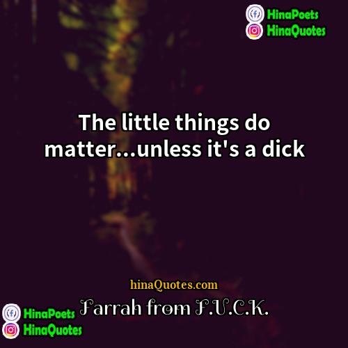 Farrah from FUCK Quotes | The little things do matter...unless it's a