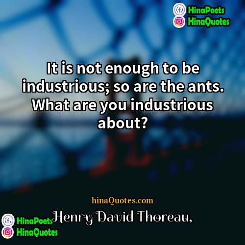 Henry David Thoreau Quotes | It is not enough to be industrious;