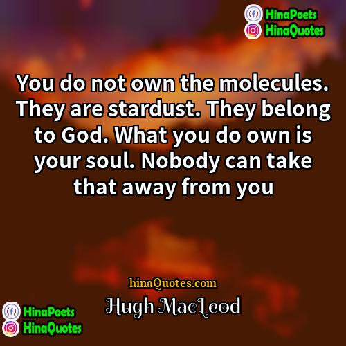 Hugh MacLeod Quotes | You do not own the molecules. They
