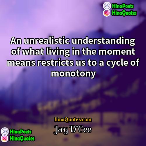 Jay DCee Quotes | An unrealistic understanding of what living in