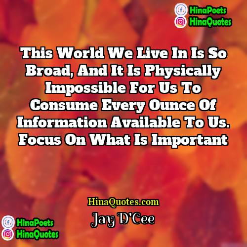 Jay DCee Quotes | This world we live in is so