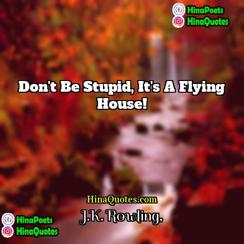 JK Rowling Quotes | Don't be stupid, it's a flying house!

