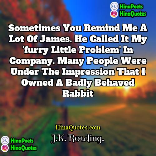 JK Rowling Quotes | Sometimes you remind me a lot of