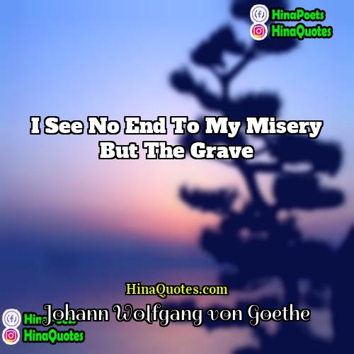 Johann Wolfgang von Goethe Quotes | I see no end to my misery