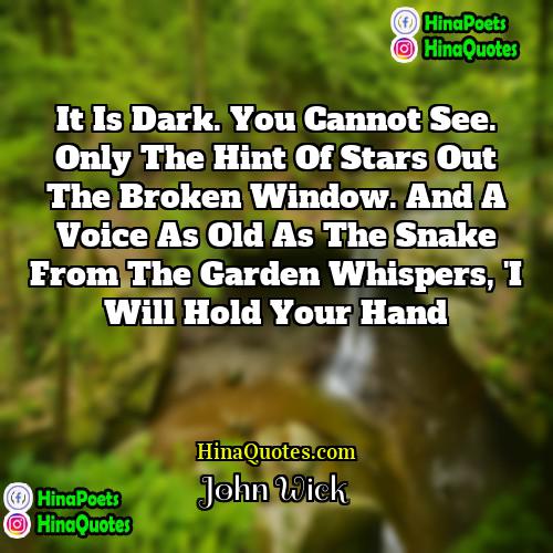 John Wick Quotes | It is dark. You cannot see. Only