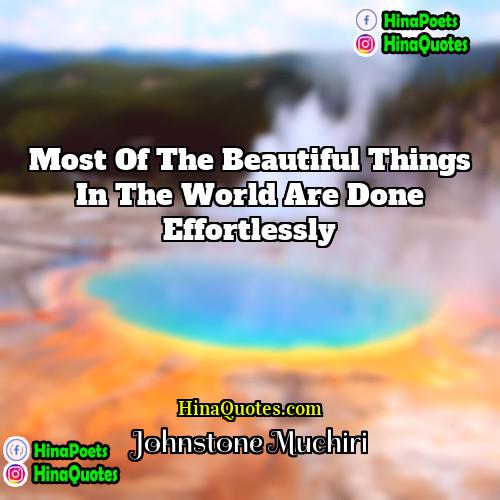 Johnstone Muchiri Quotes | Most of the beautiful things in the