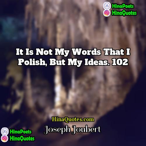 Joseph Joubert Quotes | It is not my words that I