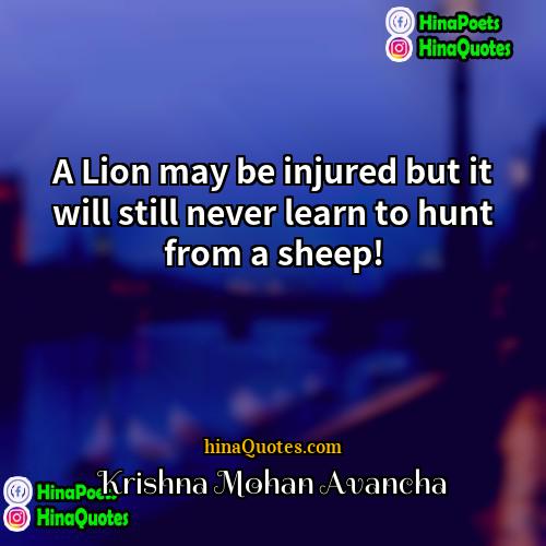 Krishna Mohan Avancha Quotes | A Lion may be injured but it