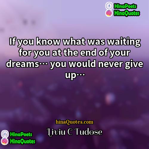 Liviu C Tudose Quotes | If you know what was waiting for