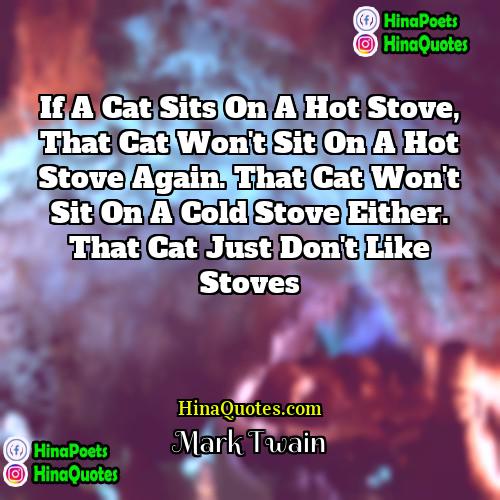 Mark Twain Quotes | If a cat sits on a hot