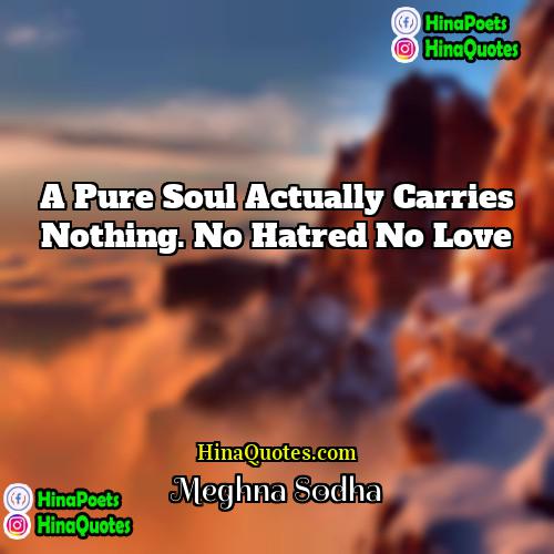 Meghna Sodha Quotes | A pure soul actually carries nothing. no
