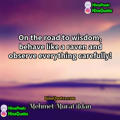 Mehmet Murat ildan Quotes | On the road to wisdom, behave like
