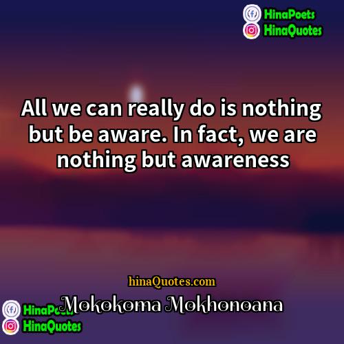 Mokokoma Mokhonoana Quotes | All we can really do is nothing