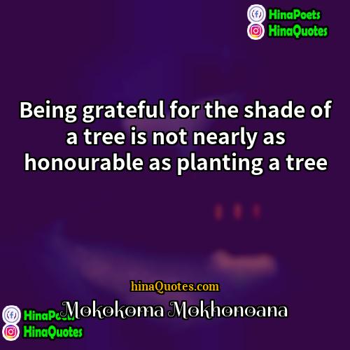 Mokokoma Mokhonoana Quotes | Being grateful for the shade of a