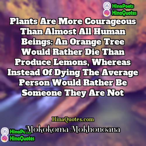 Mokokoma Mokhonoana Quotes | Plants are more courageous than almost all
