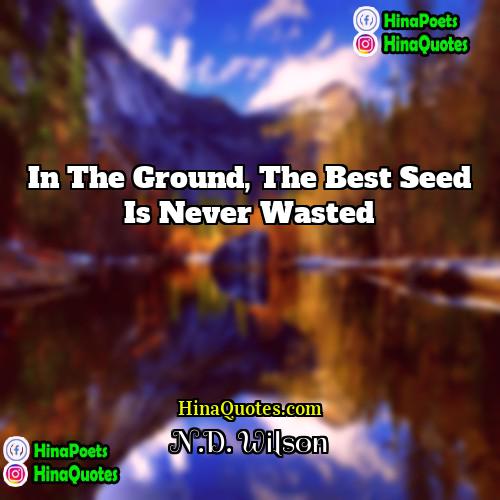 ND Wilson Quotes | In the ground, the best seed is