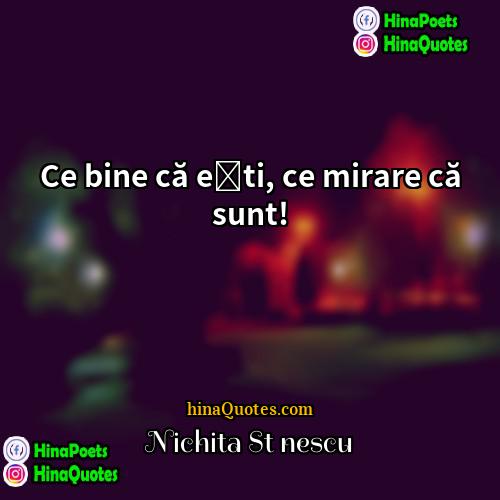 Nichita Stănescu Quotes | Ce bine că eşti, ce mirare că