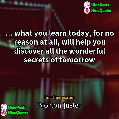 Norton Juster Quotes | ... what you learn today, for no