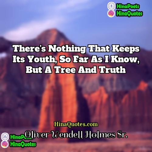 Oliver Wendell Holmes Sr Quotes | There's nothing that keeps its youth, so