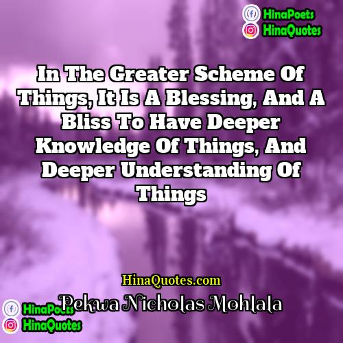 Pekwa Nicholas Mohlala Quotes | In the greater scheme of things, it