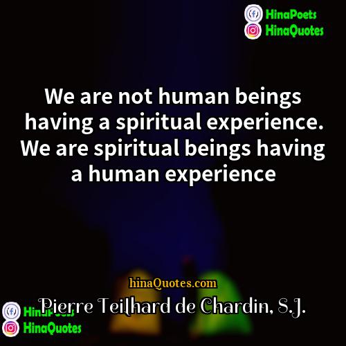 Pierre Teilhard de Chardin SJ Quotes | We are not human beings having a
