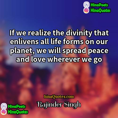 Rajinder Singh Quotes | If we realize the divinity that enlivens