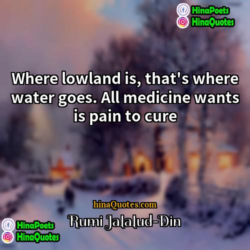 Rumi Jalalud-Din Quotes | Where lowland is, that's where water goes.